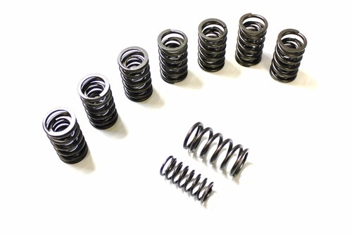 Heavy duty double valve - double, spring